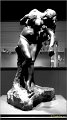poitiers110616_051 Musee Sainte Croix Salle Camille Claudel